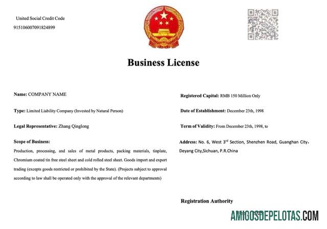 Licença comercial da China para download, modelo Word e PDF